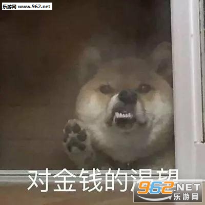 小脾气上头表情包猫 小脾气上头表情包猫