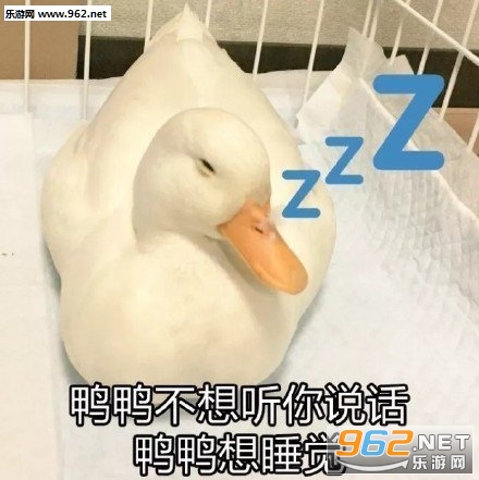 �Ҷ�����˵��ٱ��ɹ������