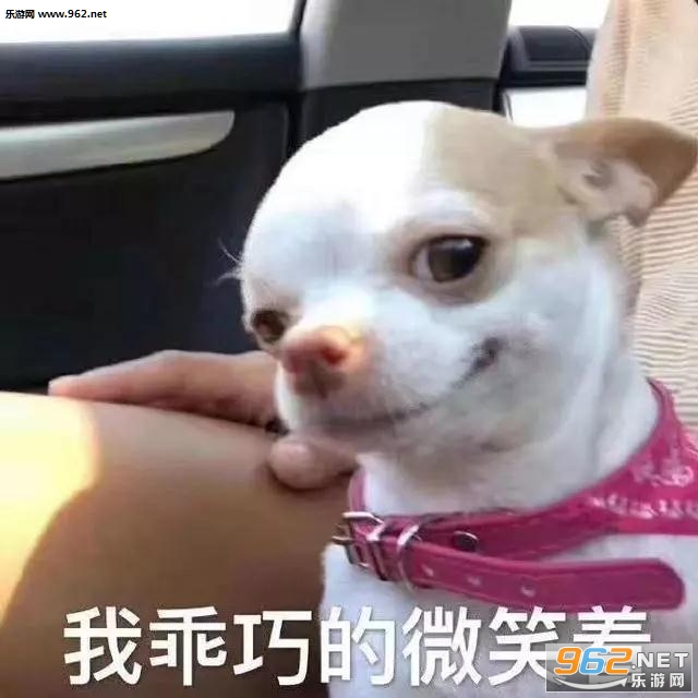 ����ҲҪ���������������