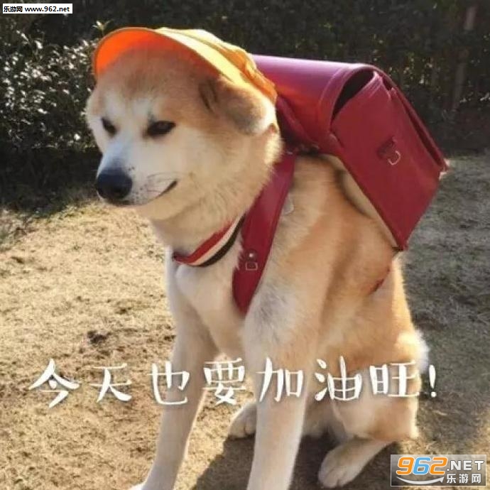 ����ҲҪ���������������