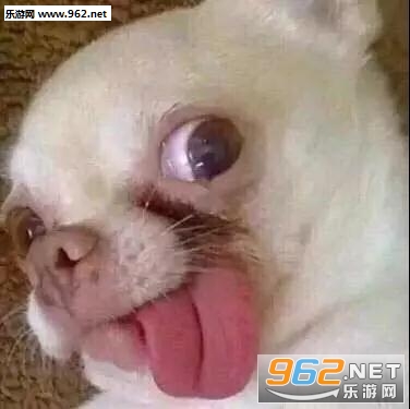 ����ҲҪ���������������