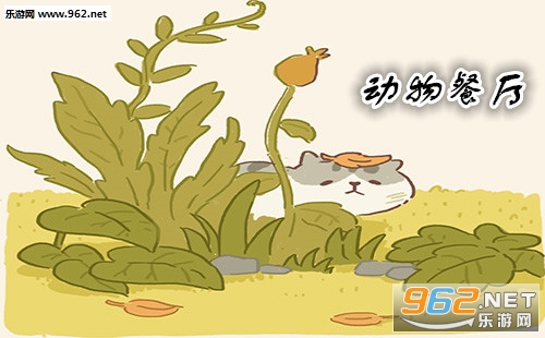 ���������Ҷ����ʲô�� �����������ޱ��ô�Ŷ���