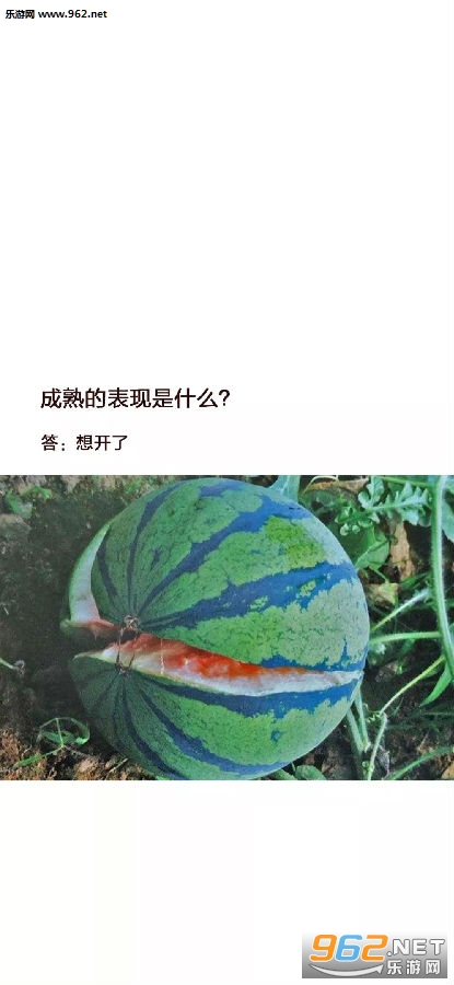 �ս�������������ͼƬ
