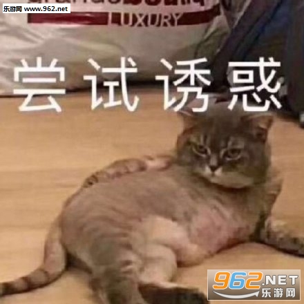 ����˯һ�������