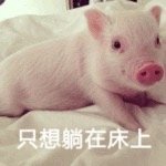 ֻ�����ڴ���С�������