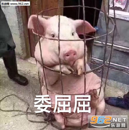 ֻ�����ڴ���С�������