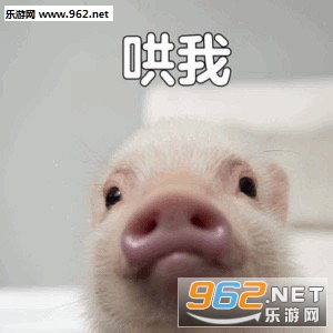 ֻ�����ڴ���С�������