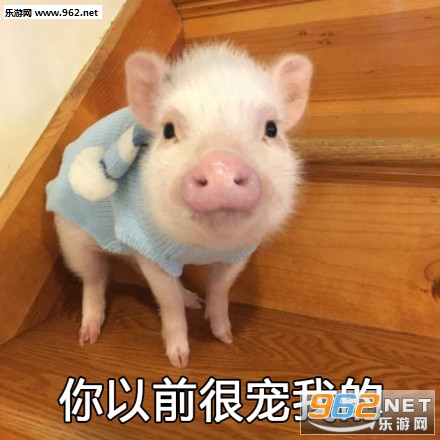 ֻ�����ڴ���С�������