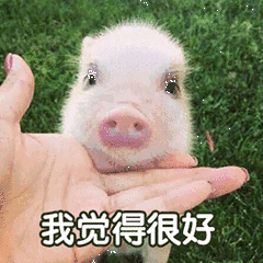 ֻ�����ڴ���С�������