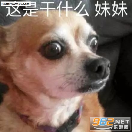 �ҹ��ɵ�΢Ц�ű����ͼƬ