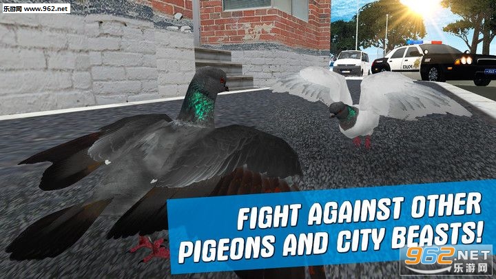 City Bird Pigeon Simulator 3D(����ģ����2019��Ϸ)v1.0��ͼ0