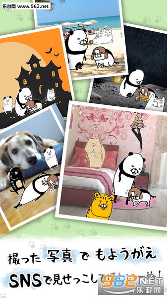 Ȯ���襤�`��(��è�빷����һֱ���ɰ���׿��)��ͼ1