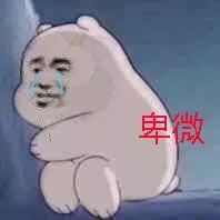 ��΢�������ͼ1