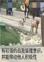 ����һֻС��������