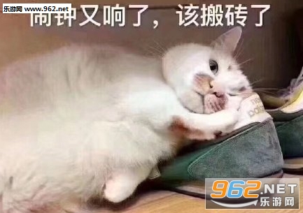 �����ˮ������Ů���߱������ͼ6