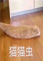 èè��è��ͼƬ