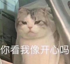 ��ͷ�����ҵ��˱�������������ͼ1