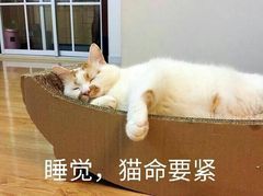��������С���ֱ������ͼ0