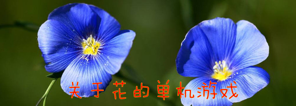 �뻨�йص���Ϸ_�뻨�йصĵ�����Ϸ ������