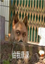 ���ҿ��������