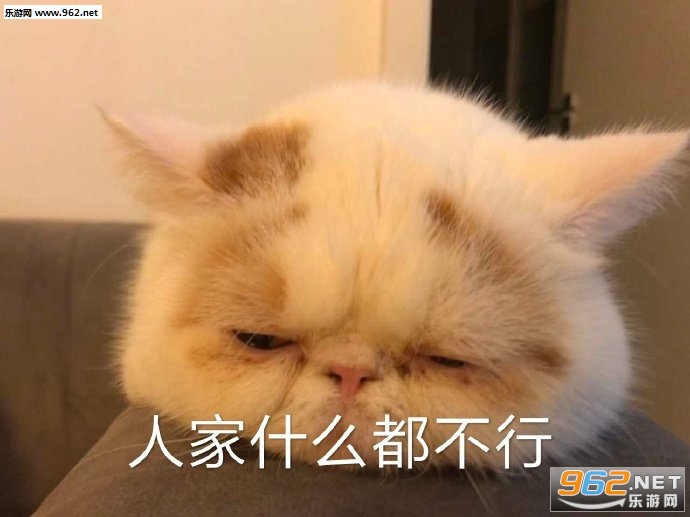 ���Ÿ��ҿ����ű������ͼ5