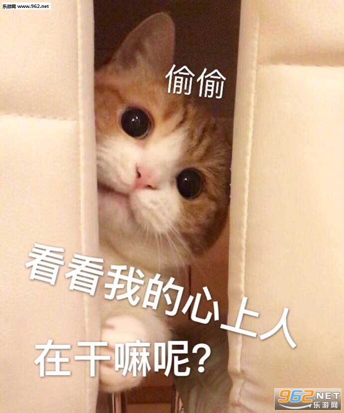 ���ǲ�ݮ������÷���������ҵ�ù�������ͼ4