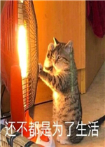 �����㵽���ж�������56ʲô�������