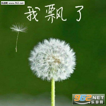 ���������������������ͼ5