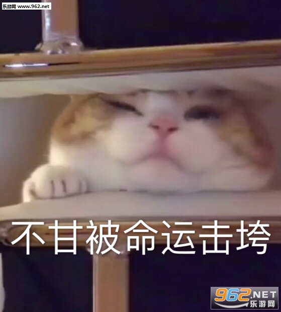 �Բ����ҷż��˱������ͼ1