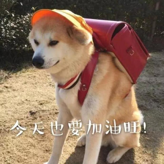 ����ҲҪ���������������