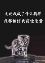 �ս�������������ͼƬ