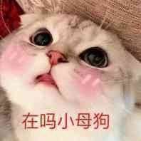 �����е�������������ͼ4