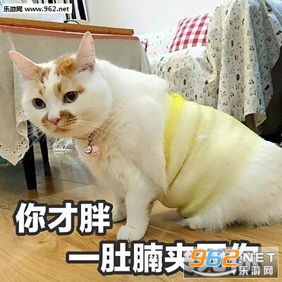 ����˯һ���������ͼ5