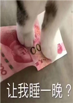 ����˯һ�������