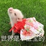 ֻ�����ڴ���С���������ͼ1