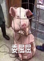ֻ�����ڴ���С�������