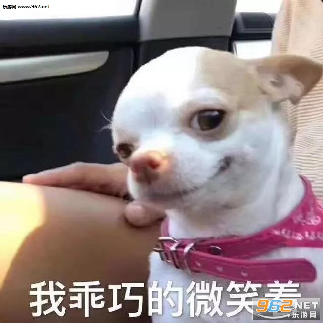 �ҹ��ɵ�΢Ц�ű����ͼƬ��ͼ5