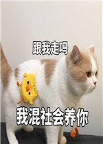 ������ҵ����Ѿ����˱����