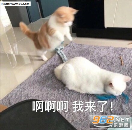 ������ҵ����Ѿ����˱������ͼ10