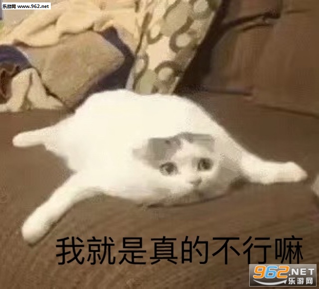 ��������ô�˱������ͼ4
