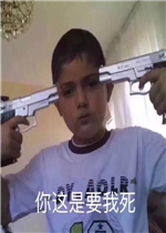 ������Ҫ���������
