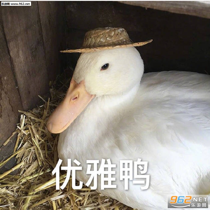 ���°�Ѽ�ɰ�ѼѼ�������ͼ1