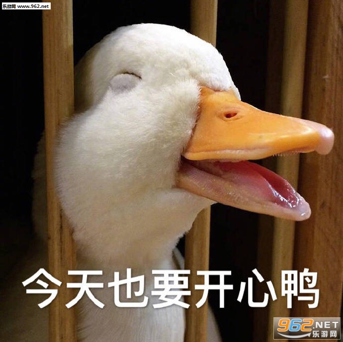 ���°�Ѽ�ɰ�ѼѼ�������ͼ2