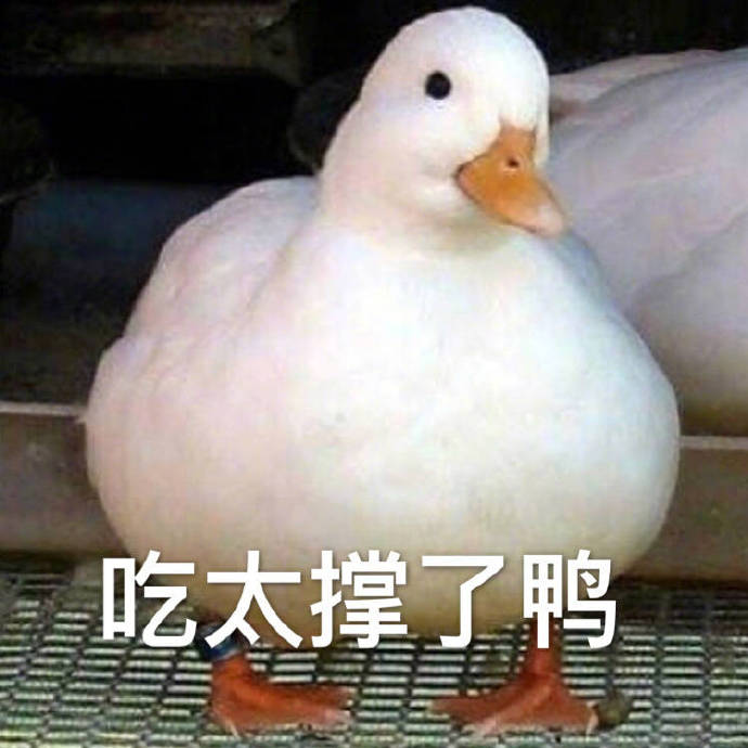 ���°�Ѽ�ɰ�ѼѼ�����