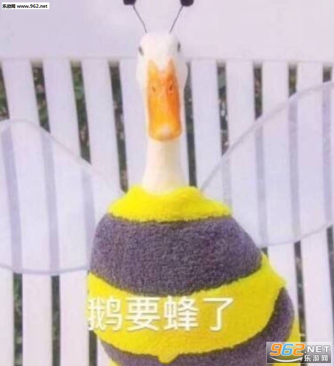���ϻ��������ͼƬ��ͼ0