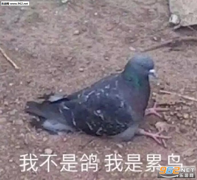 ���ϻ��������ͼƬ��ͼ1