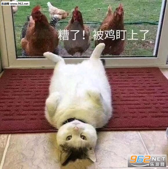 ���˱��������˱������ͼ0