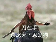 ֤��ȷ��������ͼ4