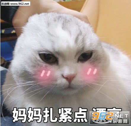 ����������Ư�������ͼƬ