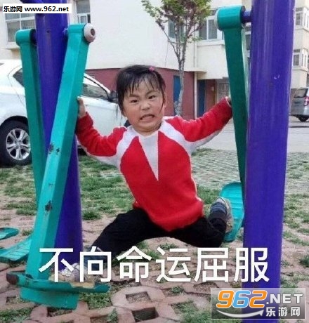 ��������Ϊ��������